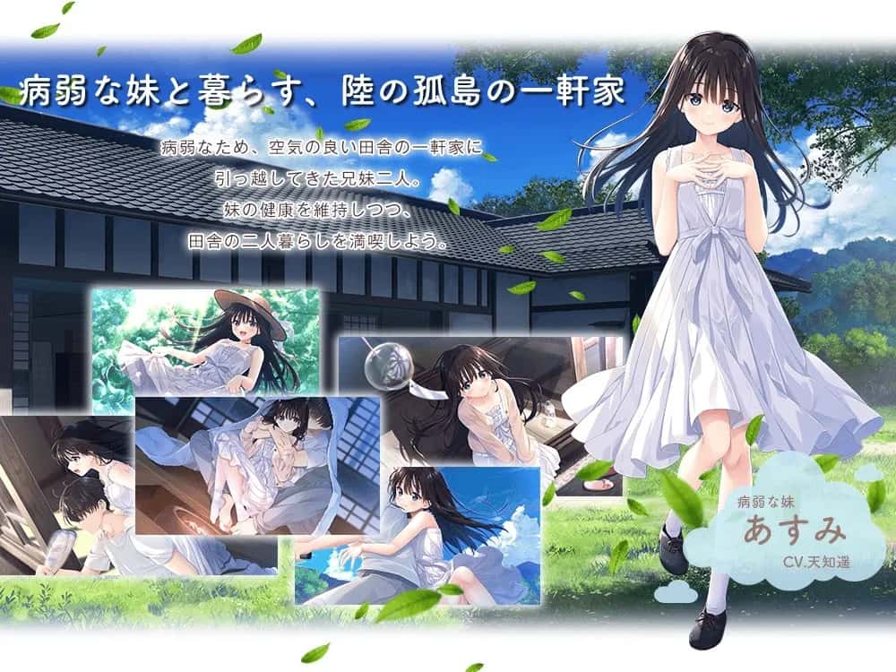 痴情哥哥与病弱妹妹的乡间生活 含新DLC1+2+3+4+5封面